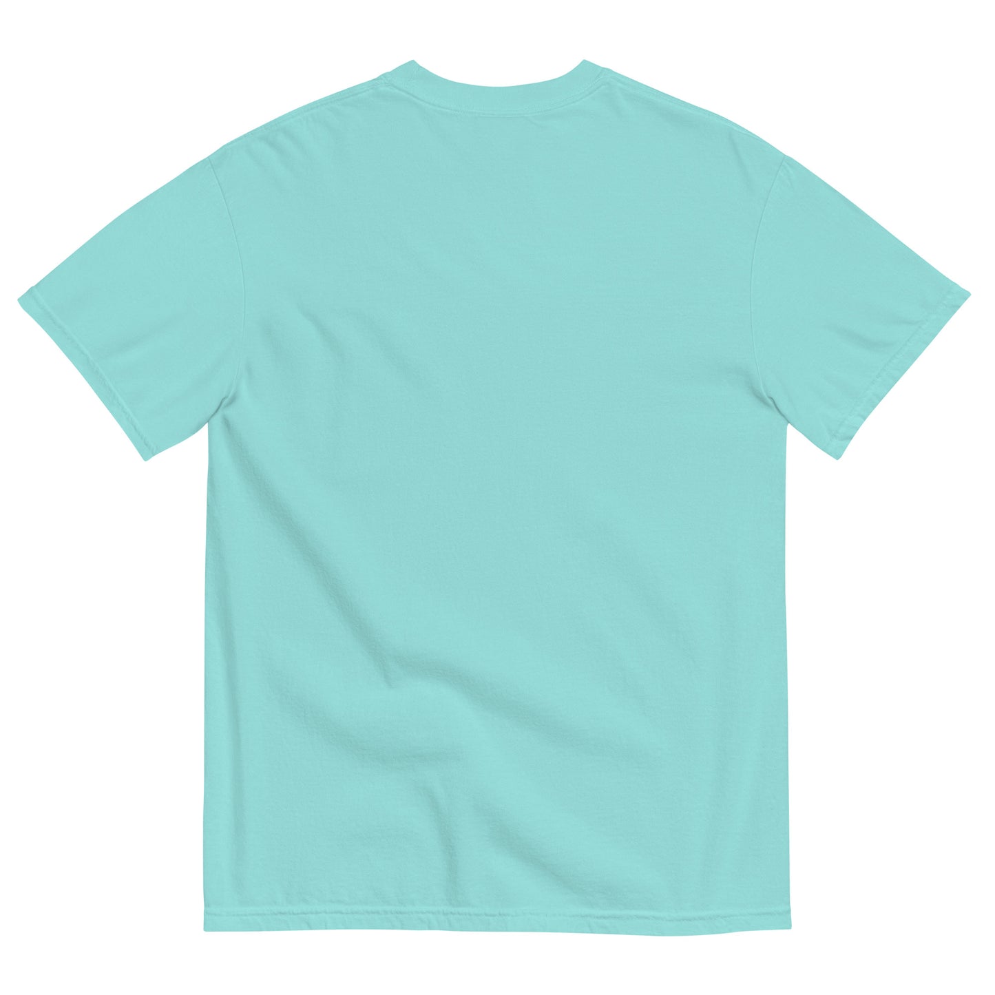 "The Florida Tee" - Unisex T-shirt